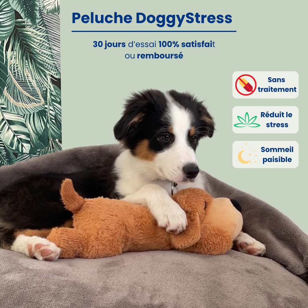 DoggyStress - Peluche apaisante avec battement de cœur