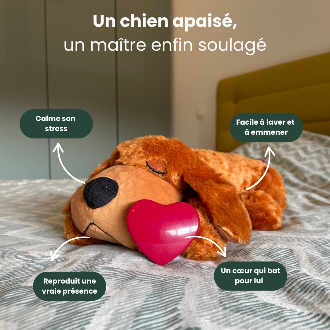 DoggyStress - Peluche apaisante avec battement de cœur