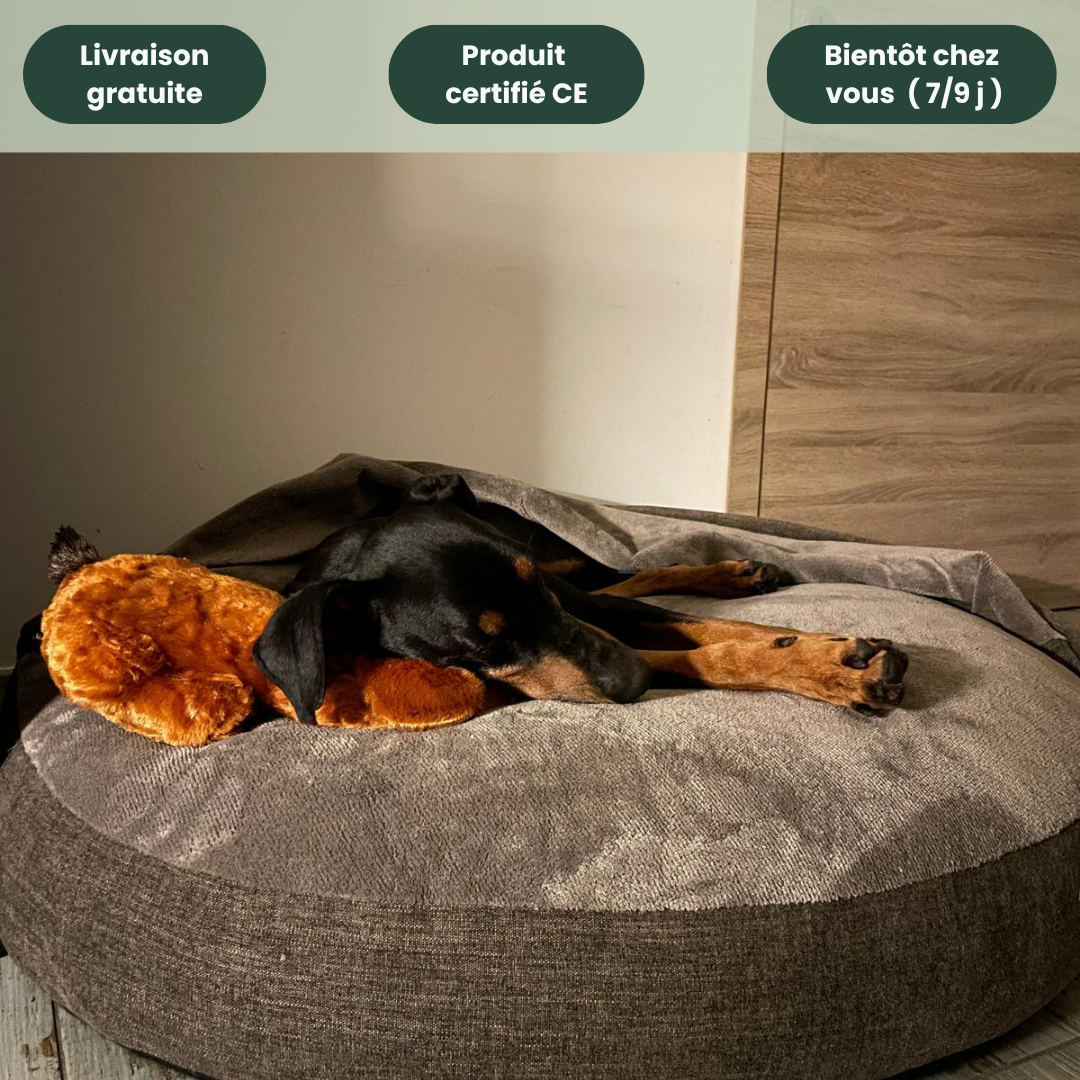 DoggyStress - Peluche apaisante avec battement de cœur