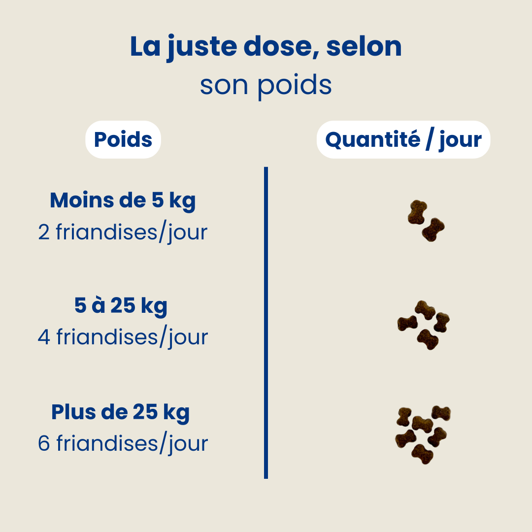 Friandises Calmantes – Lavande & Camomille