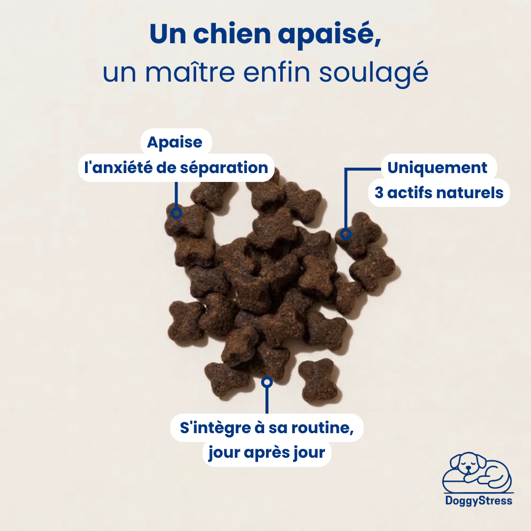 Friandises Calmantes – Lavande & Camomille