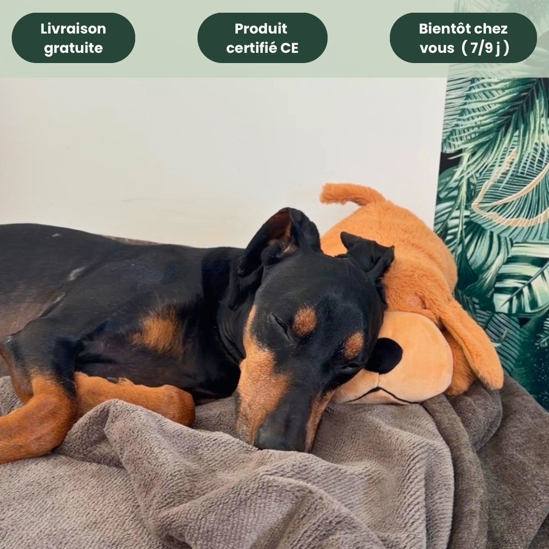 DoggyStress - Peluche apaisante avec battement de cœur
