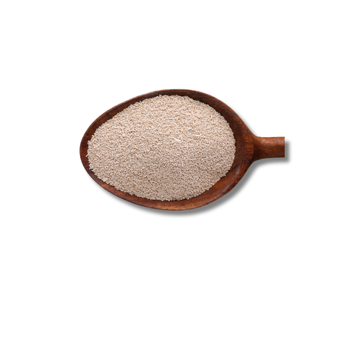 Probiotiques