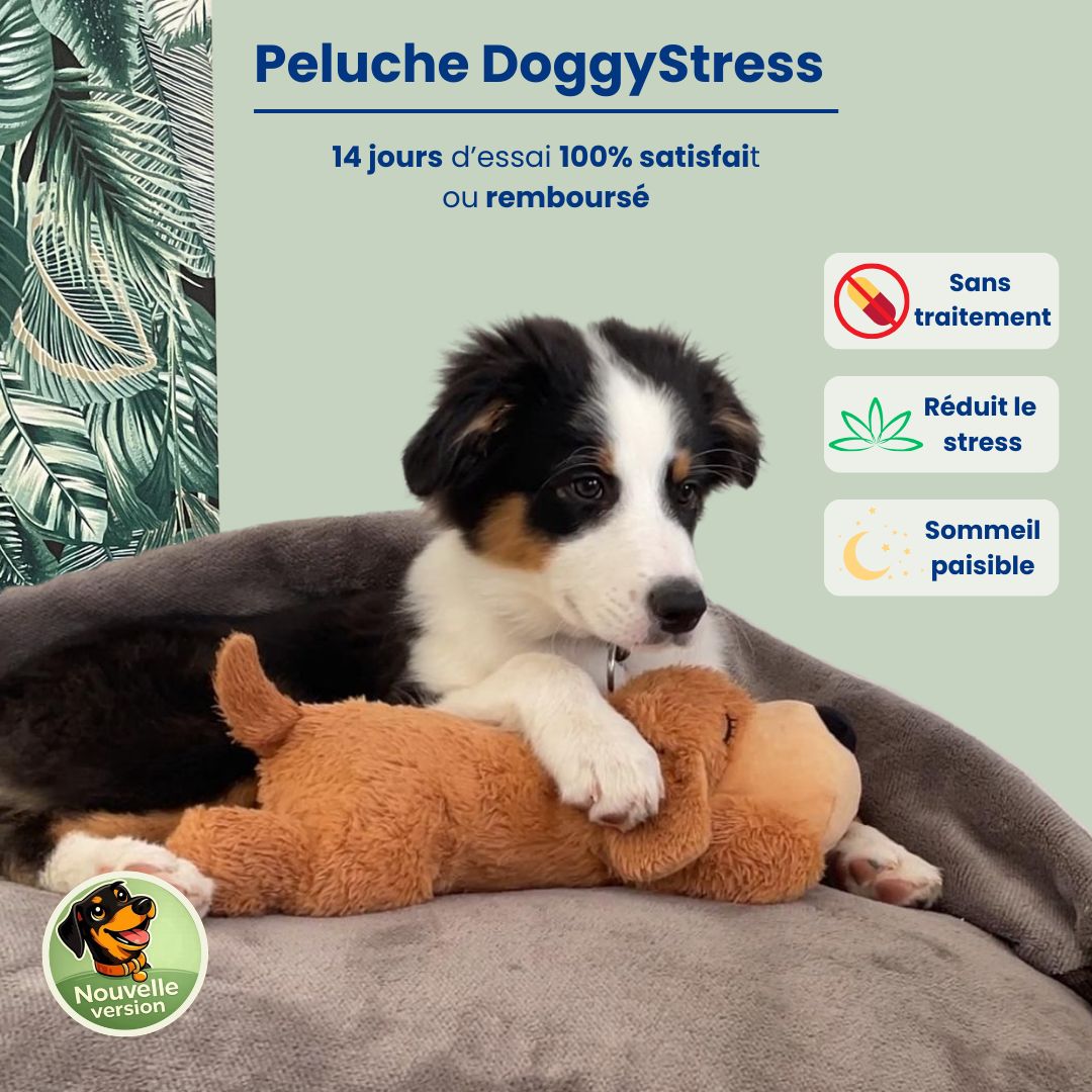 DoggyStress - Peluche apaisante avec battement de cœur